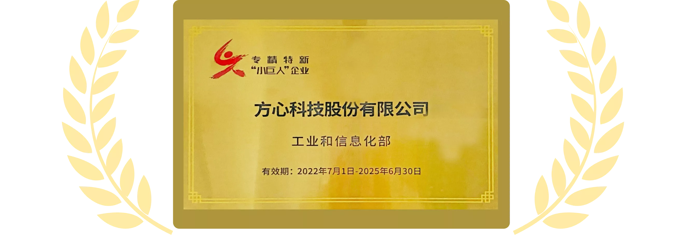 国家级专精特新“小巨人”企业